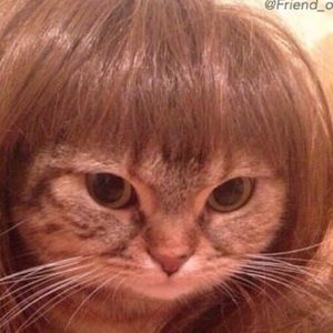 Meet your Posher, Lucinda